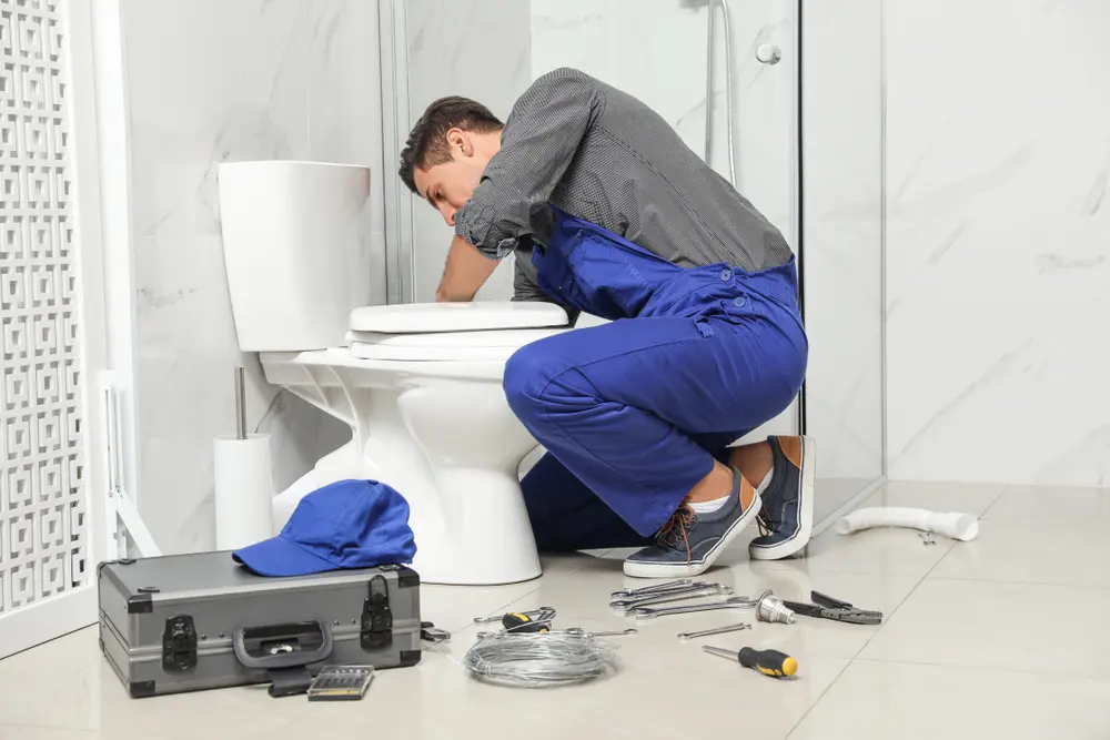 Toilet Installation in Winters